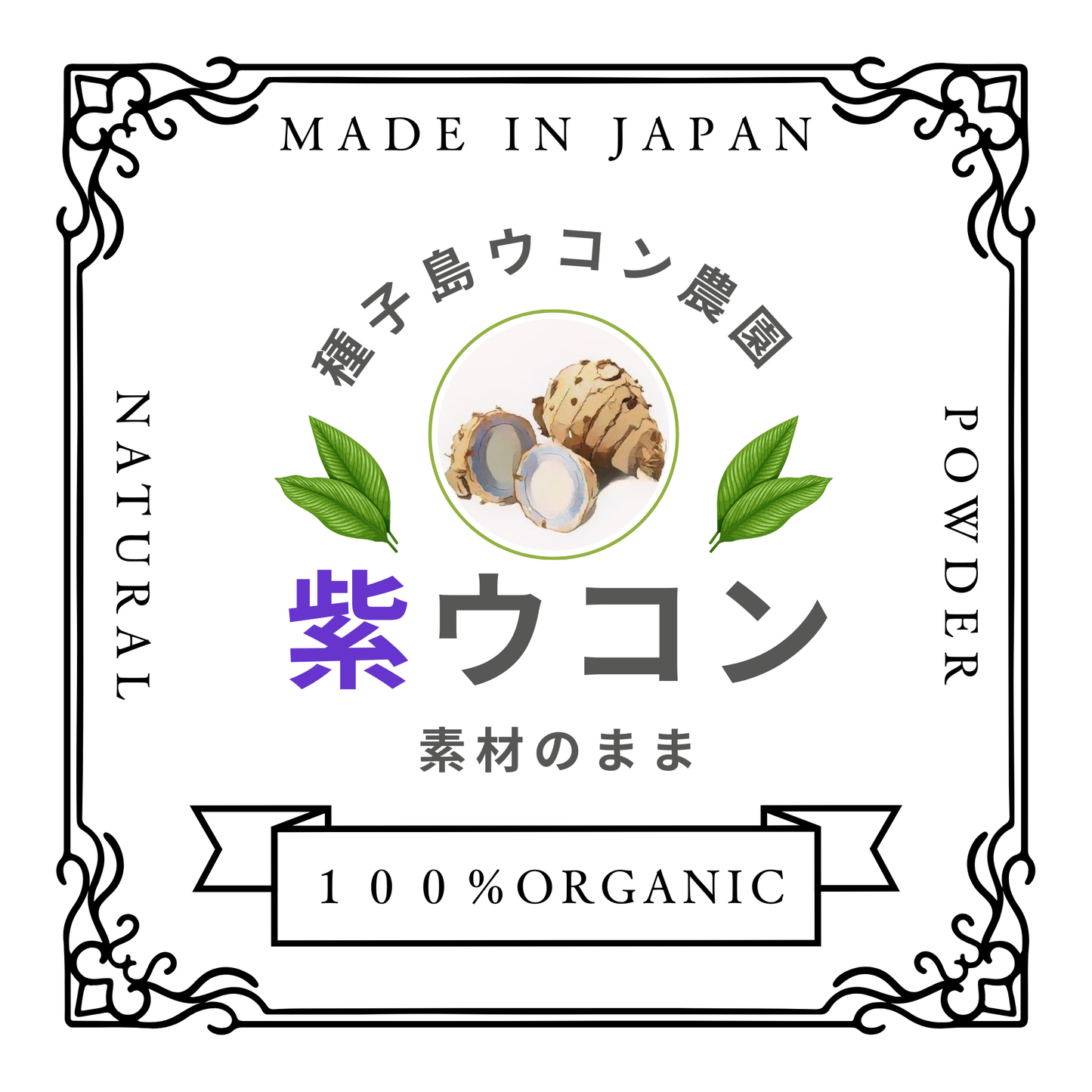 【予約販売中】今ある在庫で完売🟣紫ウコン【30gパック】