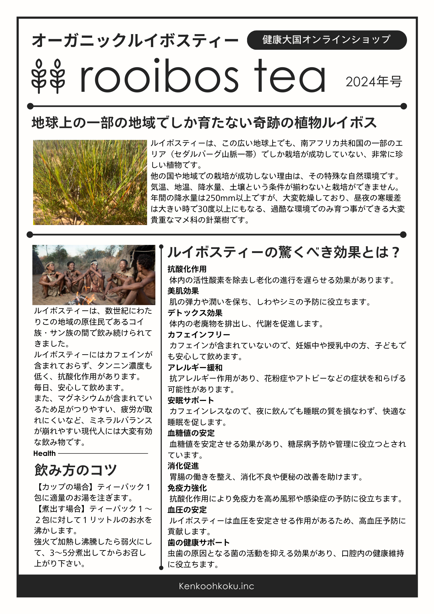 【予約販売中】秘境のルイボス|キャンサーブッシュ薬草ハーブブレンドティ