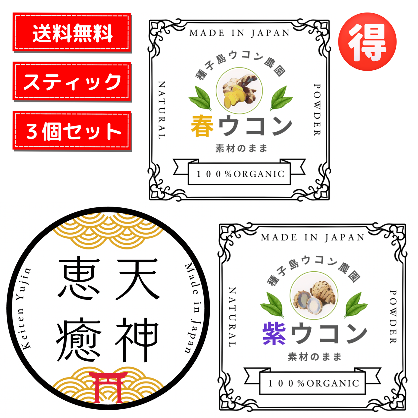 ✨新商品　数量限定【予約販売のみ受付中】バラエティパック3種類入り　３箱セット：スティックタイプ　【送料無料】