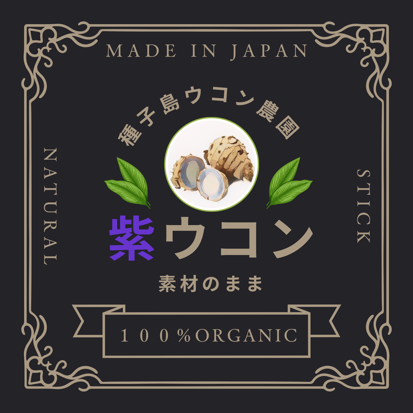 【予約販売中】 🟣紫ウコン　【スティックタイプ】