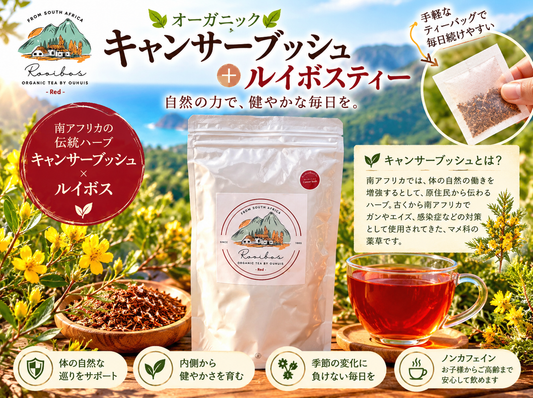 【予約販売中】秘境のルイボス｜キャンサーブッシュ薬草ハーブブレンドティ